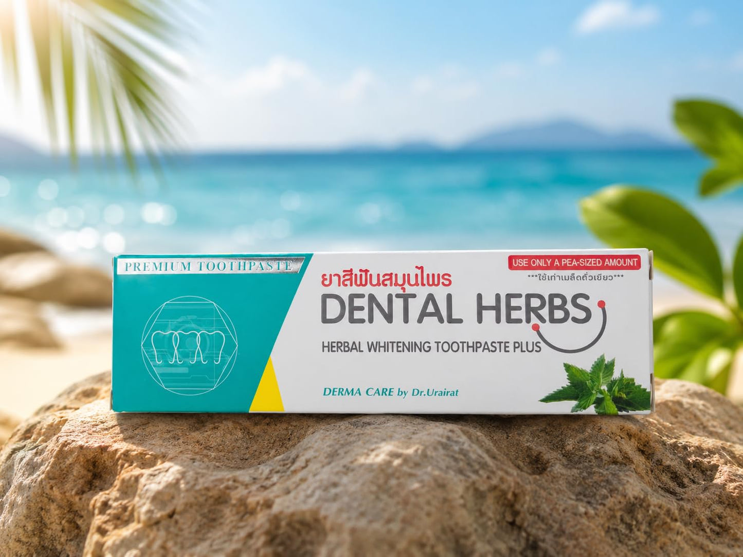 Dental Herbs Herbal Toothpaste – Natural Whitening Toothpaste for Sensitive Teeth, Bad Breath & Gum Care – Clove, Licorice, Menthol & Camphor – Highly Concentrated Formula. Gentle for Sensitive Teeth – Premium Quality from Thailand – 80g